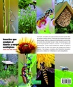 Insectos que ayudan al huerto y vergel ecológicos