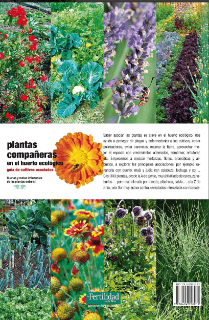 Plantas compañeras en el huerto ecológico