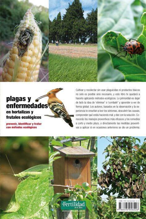 Plagas y enfermedades en hortalizas y frutales ecológicos