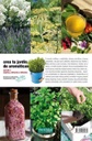 Crea tu jardín de aromáticas