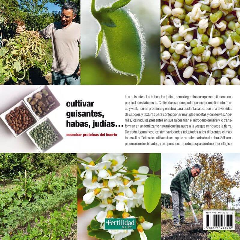 Cultivar guisantes, habas, judías...