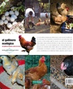 El gallinero ecológico